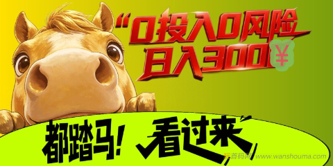 起手0撸，秒卖 - 玩首码网